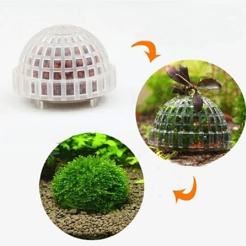 Moss holder